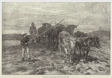 Pflügen auf den Sussex Downs